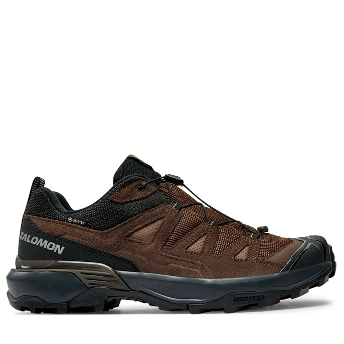 Кроссовки Salomon X Ultra 360 Leather Gore-Tex Dark Earth/Delicioso/Sharkskin