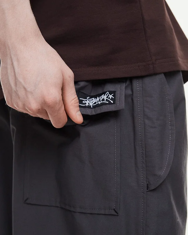 Брюки Anteater Parachute